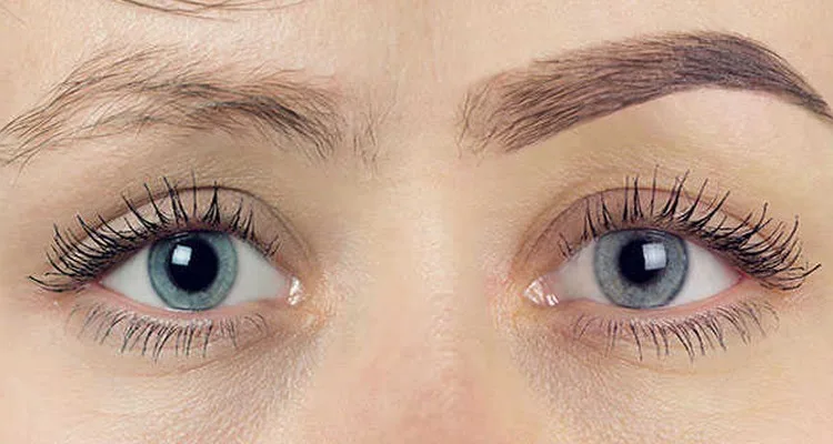 Transplantation de Poils de Sourcils